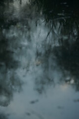 Morgen Stimmung am Wasser