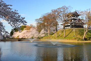 Obraz premium 春の高田公園