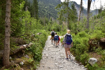 Fototapeta Turyści na szlakach w Tatrach, wakacje w górach obraz