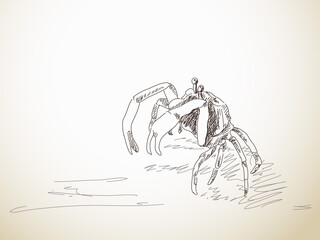 Sketch of crab
