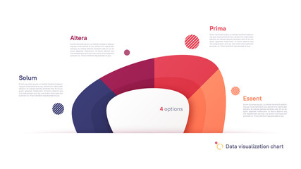Vector pie chart infographic template in the form of abstract shape divided by four parts