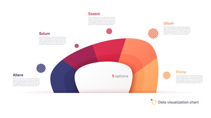 Vector pie chart infographic template in the form of abstract shape divided by five parts