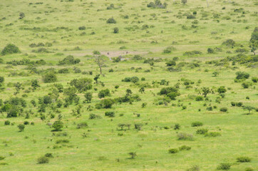 African savanna landscape, South Africa
