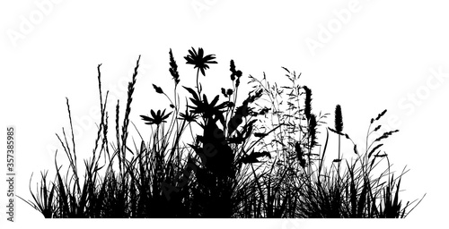 Download Abstract Background With Black Silhouettes Of Meadow Wild Herbs And Flowers Wildflowers Floral Background Wild Grass Vector Illustration Wall Mural Mariya Nenoglyadova