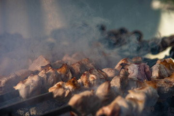 Pork meat bbq or shashlik on mangal