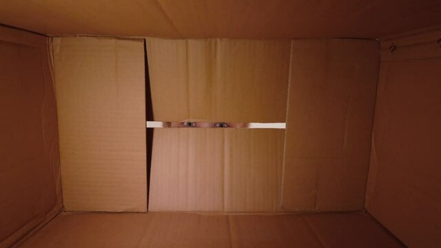 Closeup view video of two curious eyes of young kid looking inside of closed cardboard box through gap than boy opens carton package happily and smiling.
