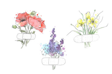 Flower set with lavender, poppies and yellow flowers painted by watercolor isolated on white