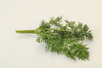 Aroma seasoning - Green Dill branch
