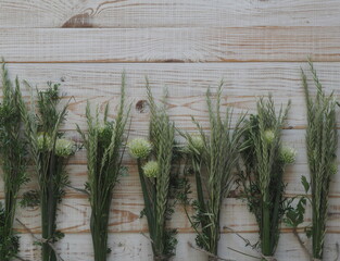 Bunches of ears of grass, onion flowers and cilantro are laid out on a wooden white background.Village floral background.