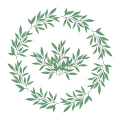 Decorative wreath of delicate green branches. Hand drawing style. Botanical doodling. Isolated object on a white background. Spring.