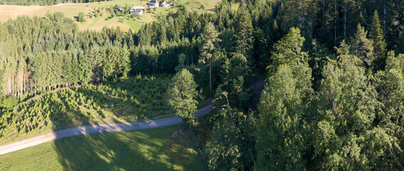 Schwarzwald an der Gallussäge Oberharmersbach