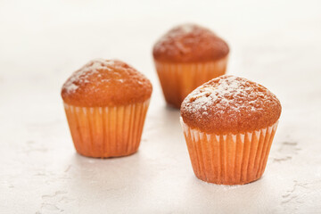 Close-up of vanilla muffins in powdered sugar. Selective focus