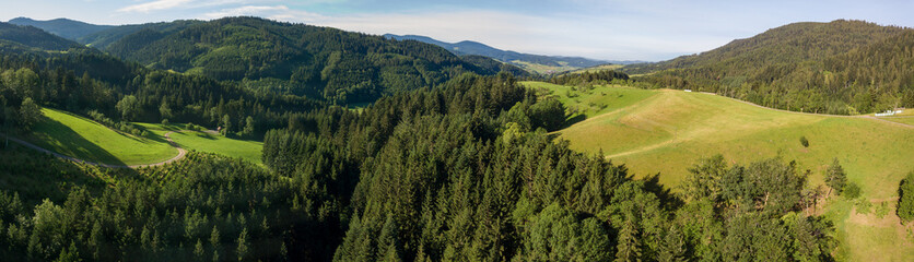 Schwarzwald an der Gallussäge Oberharmersbach