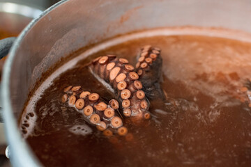 Poulp/octopus boiling in a pan
