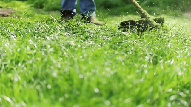 Mowing a lawn with a lawn mower. Garden work concept background