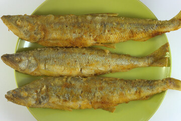 A delicious fried smelt in oil lies on a light green plate