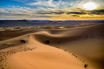 Fototapeta na wymiar Resting camles on the Sahara: Earth's Largest Hot Desert