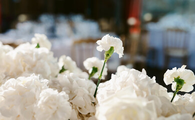 Wedding flower arrangements and decorations. Empty copyspace with white background and space for text. Holiday accessories and backgrounds