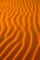 The Sahara: Earth's Largest Hot Desert