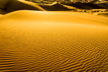 The Sahara: Earth's Largest Hot Desert