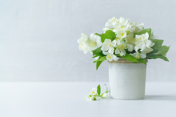 a bouquet of jasmine flowers in a vase on the table close-up. a bouquet of white jasmine flowers on...