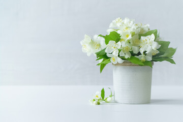 a bouquet of jasmine flowers in a vase on the table close-up. a bouquet of white jasmine flowers on a white background. holiday card with jasmine flowers.