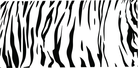 Black and white zebra stripes background. Zebra ,and tiger background.Vector illustration.eps 10