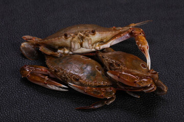 Raw crab - ready for cooking