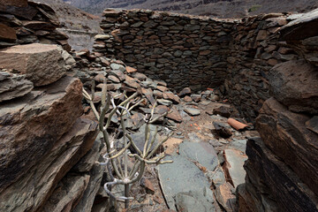 very old stone house destroyed and falling by the passage of time and erosion in a natural setting with rain-fed vegetation