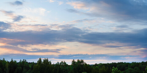 Panorama of the evening sky and the top of the forest