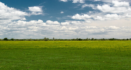 Fototapeta premium Loire-Atlantique, France, June 2020: photo of a magnificent meadow in the marshes of Sainte Lumine de Coutais.