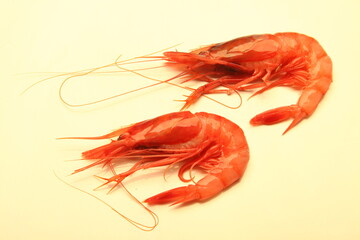 Gamba roja,  Aristeus antennatus