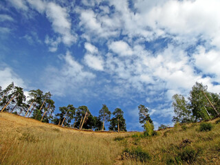 Pine trees at the bluff on the coast of the lake. Shot at Izumrudnoe (Emerald) or Karier (Quarry)...