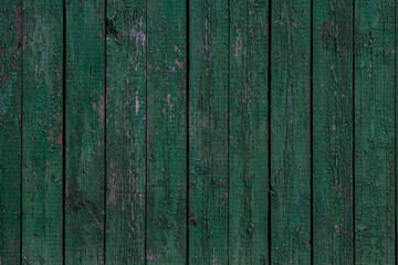 Texture and background old wood painted green paint.