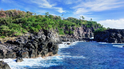 城ヶ崎海岸　いがいが根