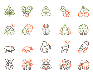 Vector color linear icon set of forest objects