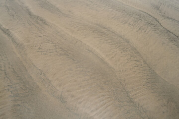 ripples in the sand