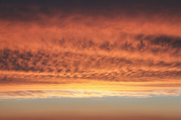 Orange clouds in  sky. The last evening rays of  sun.