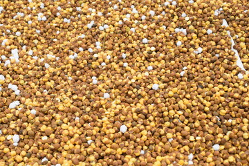 Roasted Chickpea/chana known as Pakistan or Phutana in Hindi