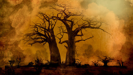 Under The Baobab