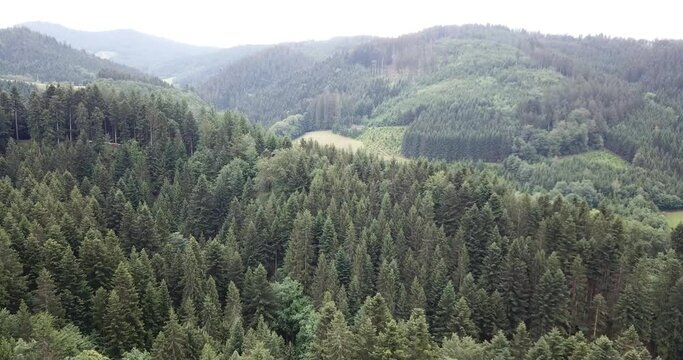 Luftbilder aus dem Schwarzwald Oberharmersbach