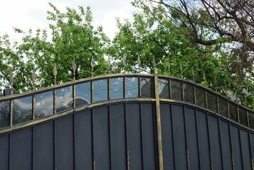 black sharp iron bars on a metal gate and a wall on the street against a background of green branches and sky