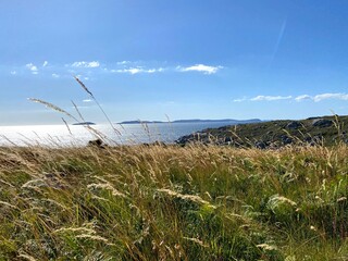 Obraz premium Prado con las islas ons de fondo