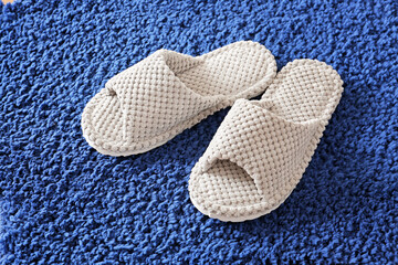Pair of soft slippers on rug