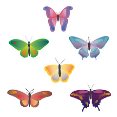 Fototapeta na wymiar Color drawing butterfly. Beautiful butterflies on a white background for design. Collection set of colorful butterflies. Hand drawn isolated vector illustration.
