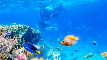 Fototapeta na wymiar Beautifiul underwater world with tropical fish and divers