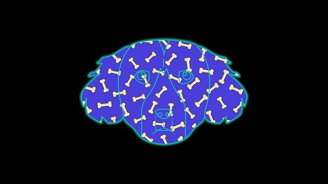 Setter face icon color animation on black background