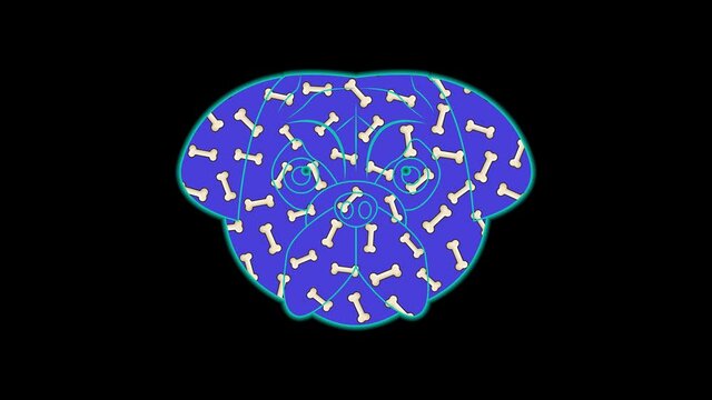 Pug dog face icon color animation on black background