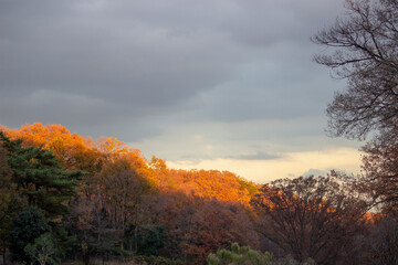 As the sun sets on an overcast Japan