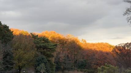 As the sun sets on an overcast Japan